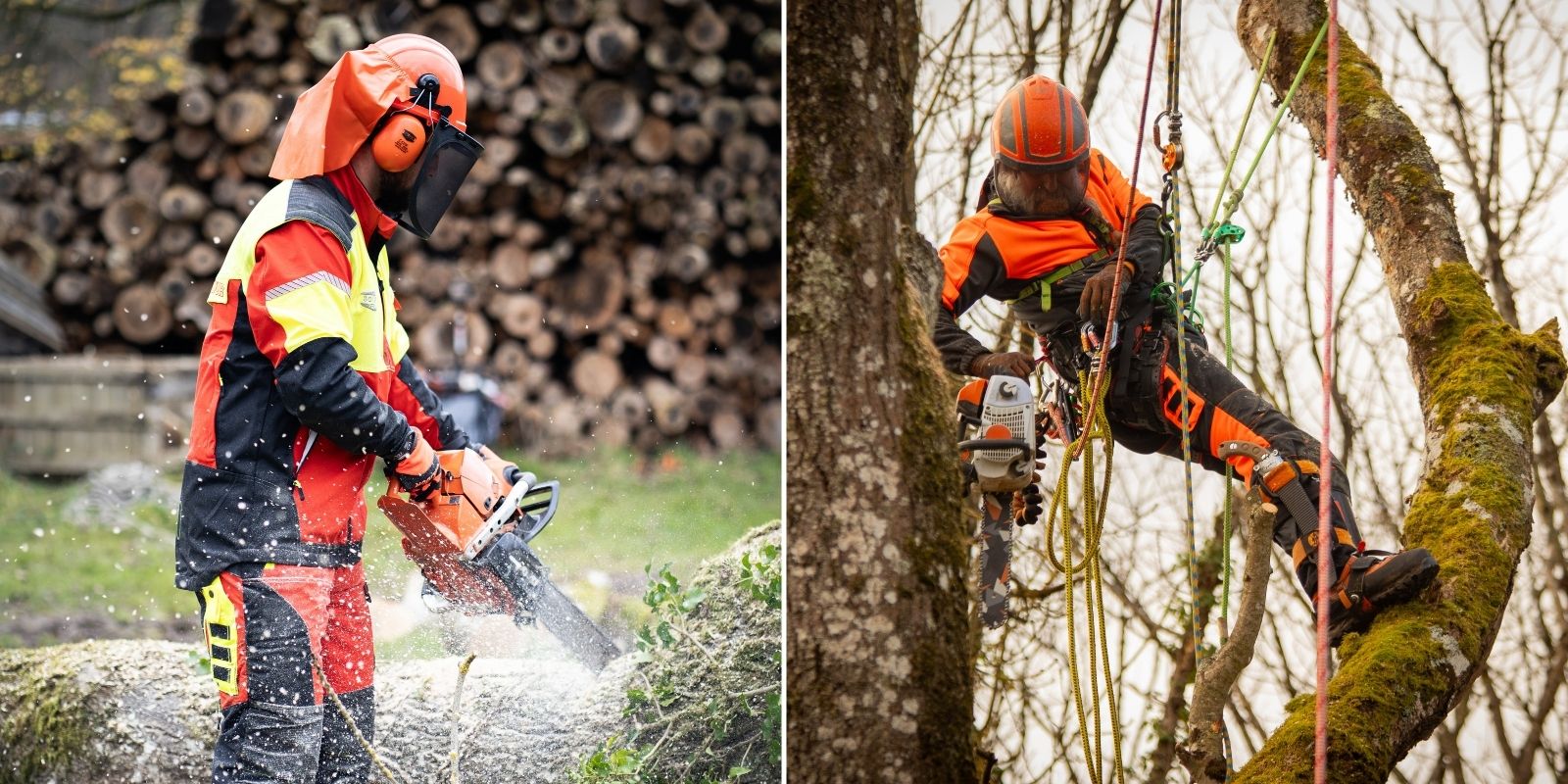 bûcherons et élagueurs